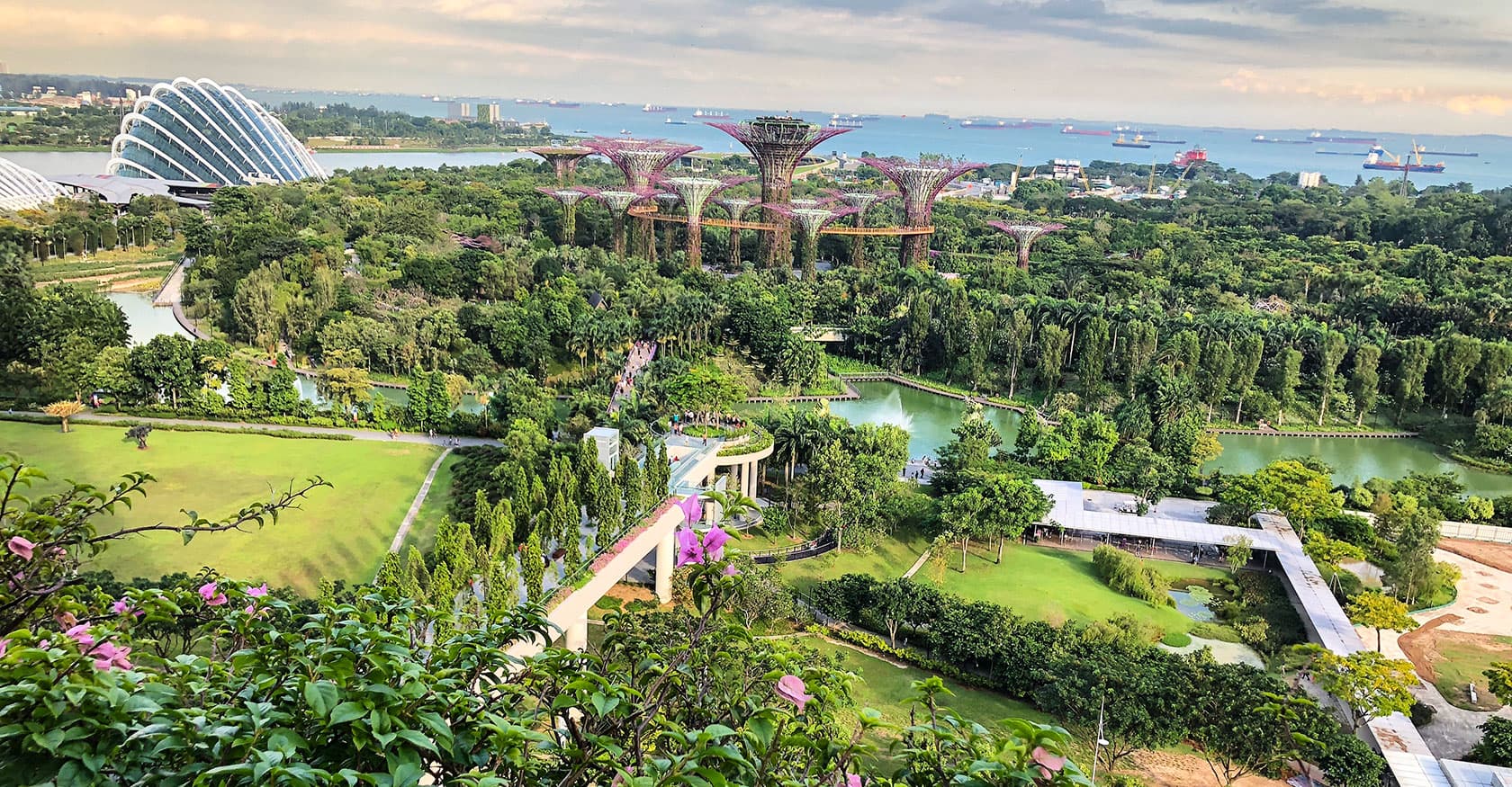 新加坡濱海灣花園(Gardens by the Bay)位於新加坡濱海灣中央的公園,2012年落成,佔地101公頃,構思開始於2006年,計畫促進新加坡由花園城市進化為「花園中的城市」。