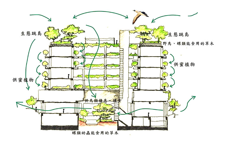 生態跳島的概念圖