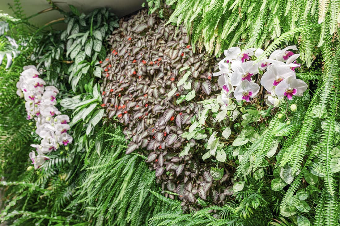 101大樓地下美食街綠牆2022年最新實景
