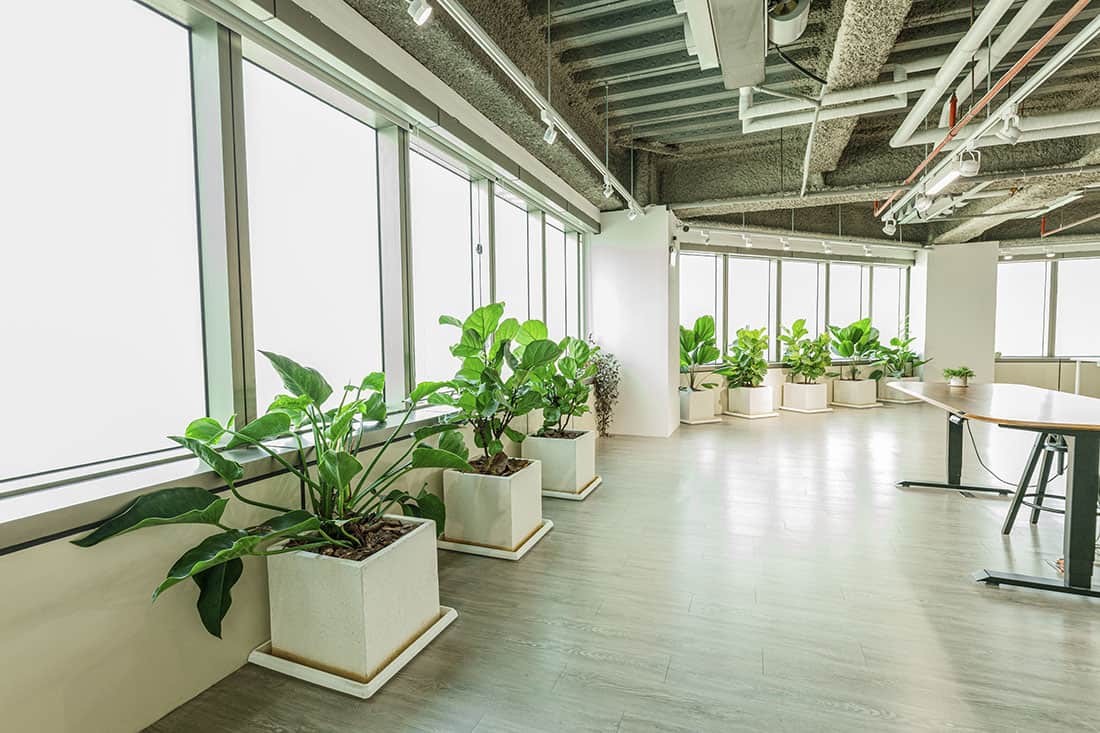 辦公室仿真植物綠化