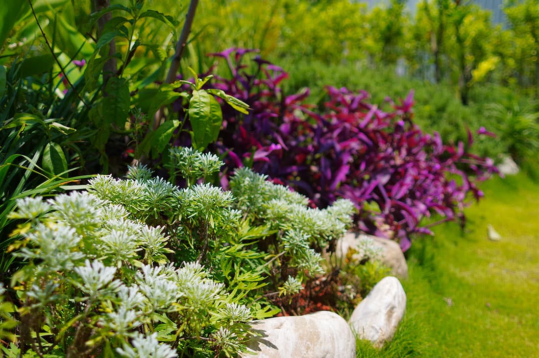 深耕10整合綠化，寶銳工法再創經典。