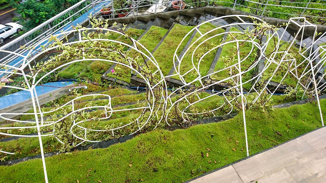 成大魔法學校階梯式屋頂綠化