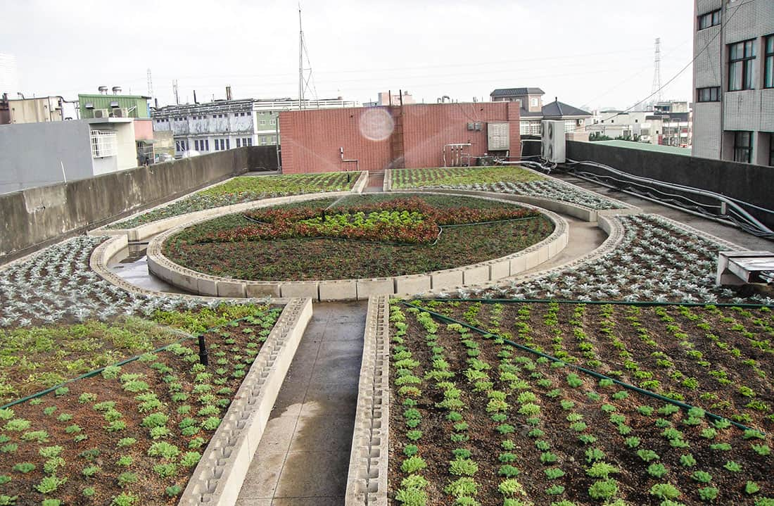 桃園新興國中校舍綠屋頂花園