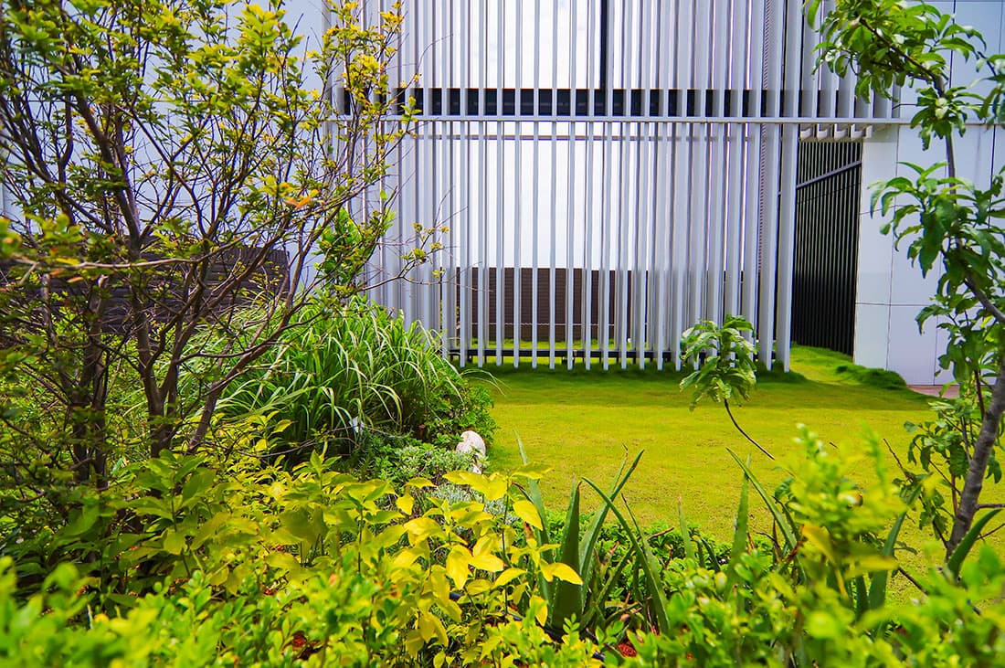 桃園市八德區深耕10的美景如畫。