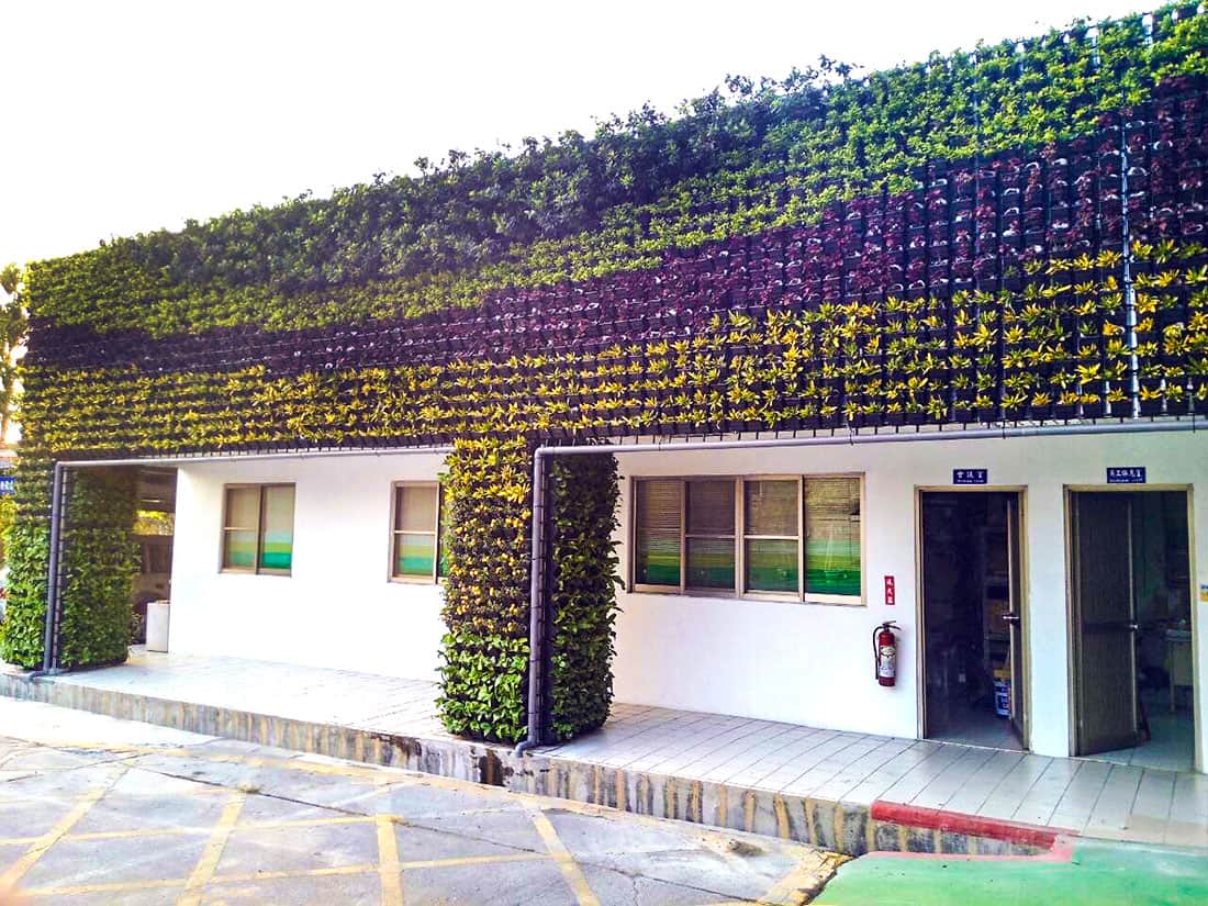 嘉義檢測站建物牆面植生綠化