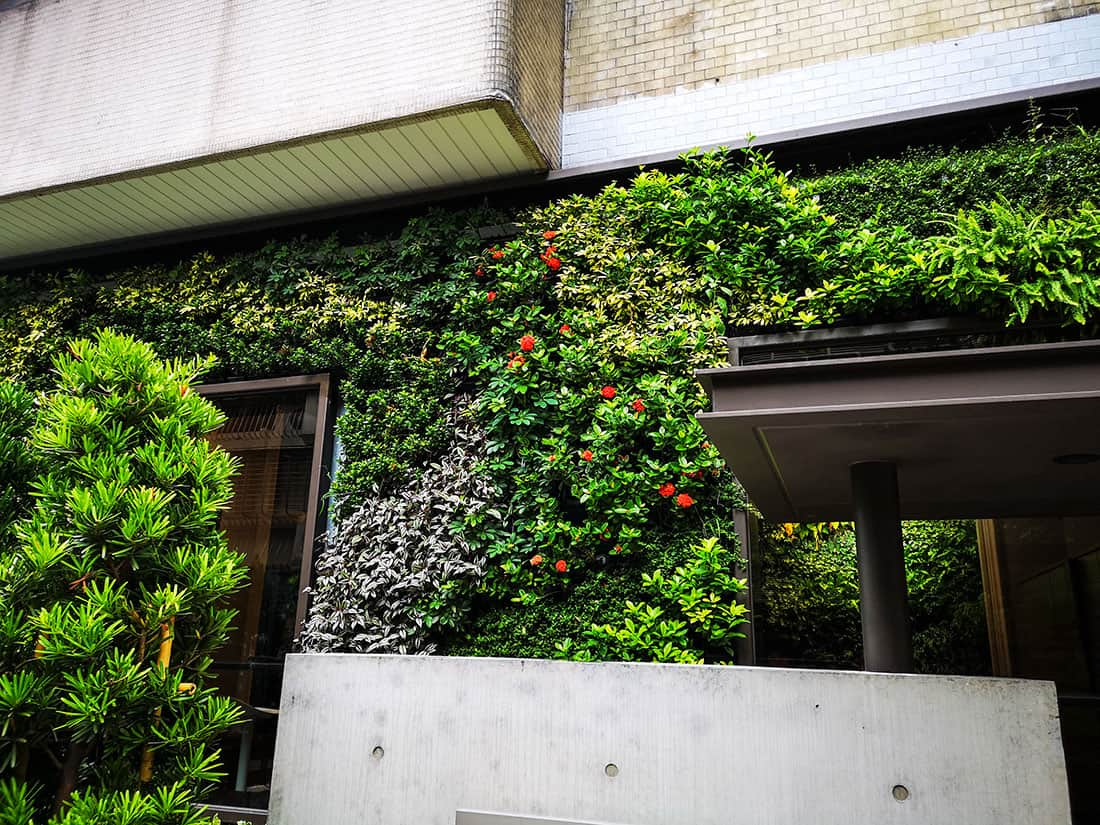 和平東路綠色植生牆