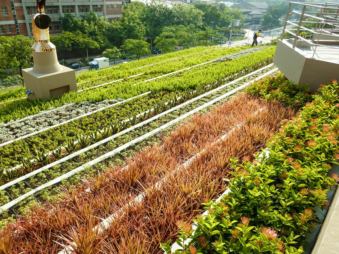 成大魔法學校階梯式屋頂綠化施工