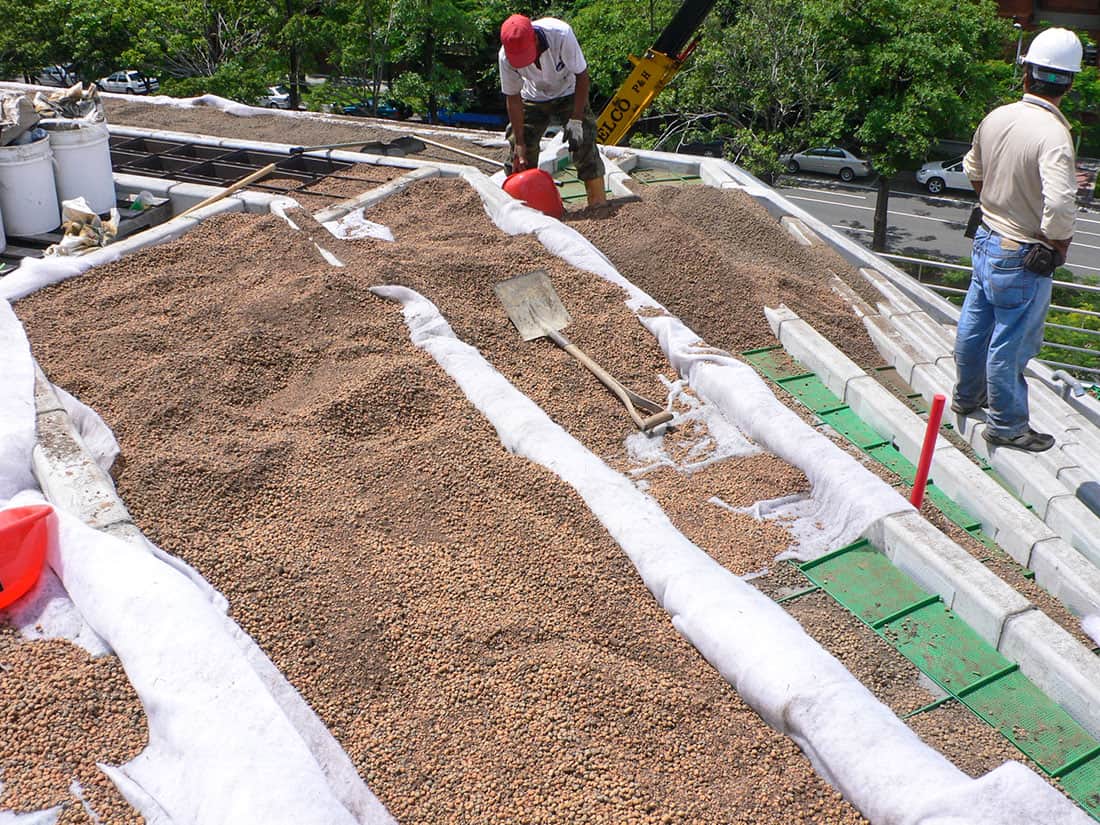 成大魔法學校階梯式屋頂綠化施工