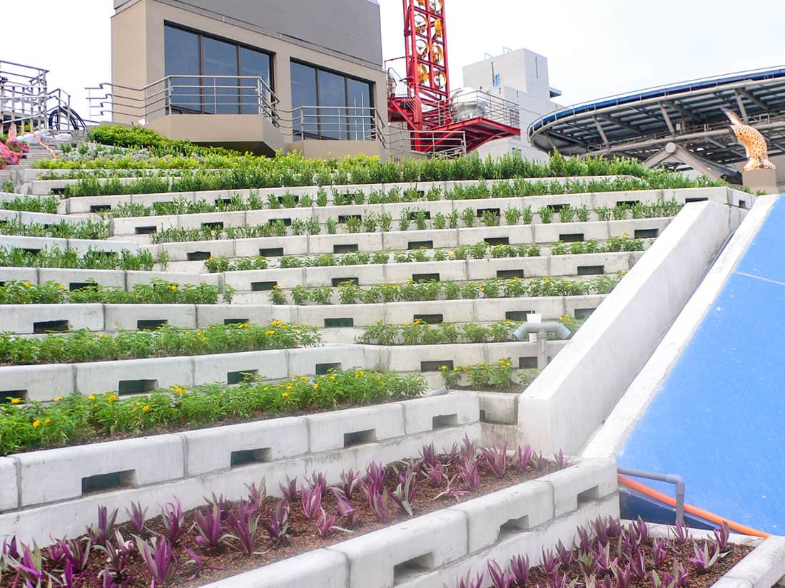 成大魔法學校階梯式屋頂綠化施工